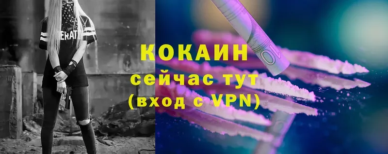 Cocaine Fish Scale  darknet Telegram  Барабинск 