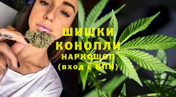 PSILOCYBIN Алзамай